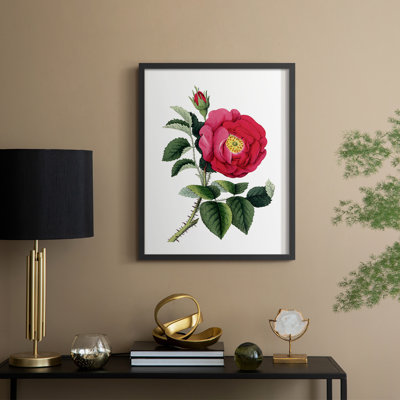 Botanical Beauty I Framed Print - Solid Wood