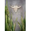 Wall Decor on Shell