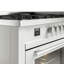 ILVE Professional Plus II 60 Dual Fuel Range -1738489006-1738489019