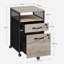 42cm Wide 2 -Drawer Mobile File Cabinet