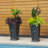 Bateh Self-Watering Pot Planter