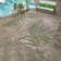 Paseo Paume All-Weather Flatweave Indoor/Outdoor Area Rug, Palm Green Beige Palm Leaf – Patio, Deck, Porch & Living Room