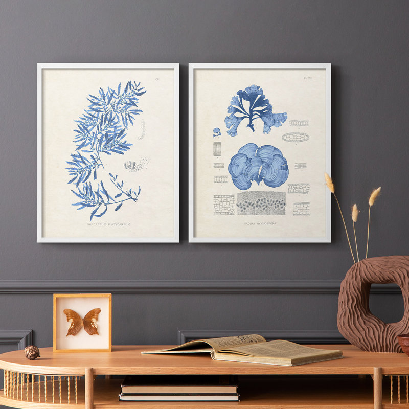 Blue Marine Algae III - reproduction encadrée de qualité supérieure - prête à être accrochée - aucun clou requis - aucun clou requis