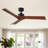 52" Black Lowe Profile Ceiling Fan without Light