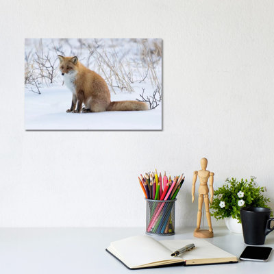 «Red Fox Sitting In Snow» par Darrell Gulin - photographie sur toile tendue