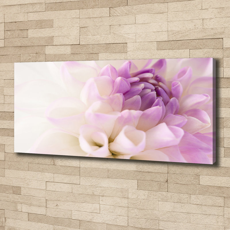 White Dahlia - Wrapped Canvas Print