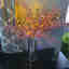 Photos des clients 1 de 1