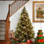 Carolina Flocked/Frosted Christmas Tree-1638101848