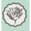 Herbariae Handmade Porcelain Salad/Dessert Plate