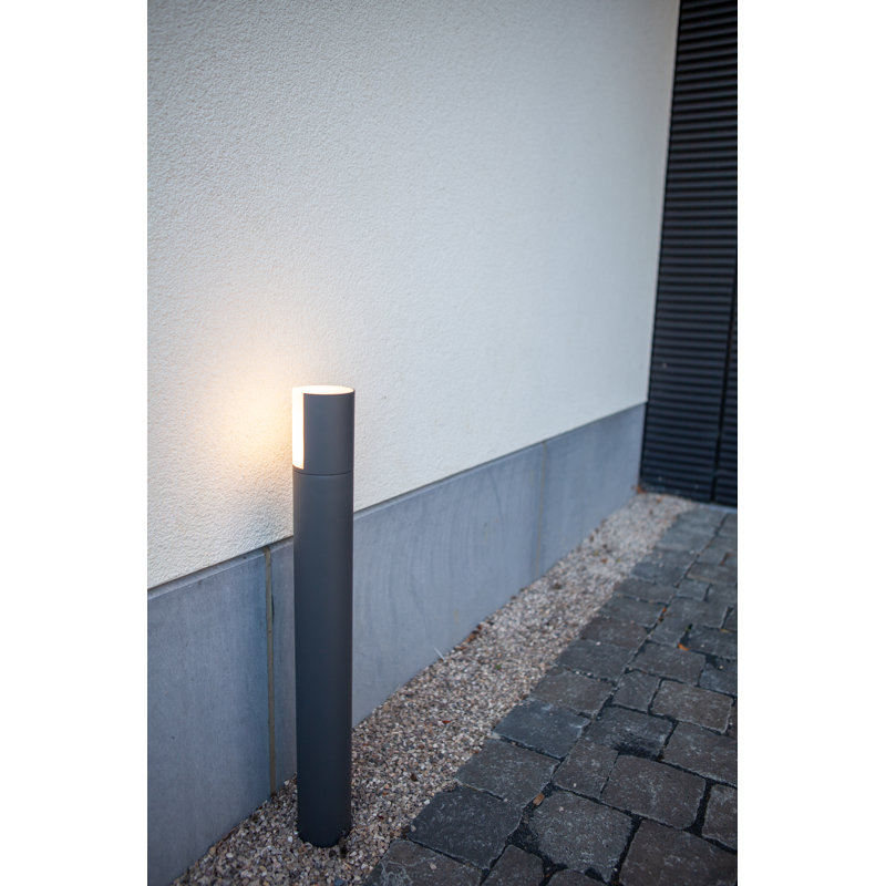 Avondale 1-Light Cone Pendant