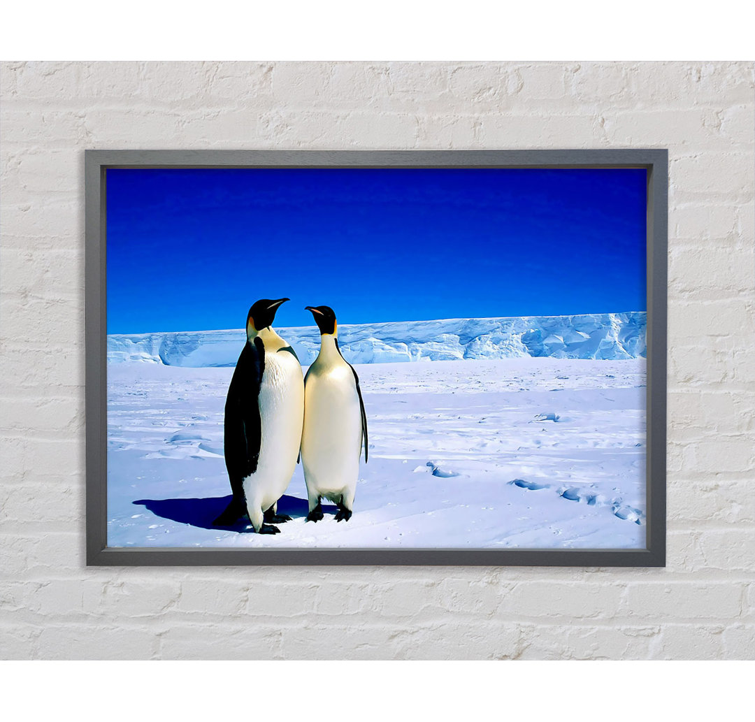 Pinguin Spaziergang Gerahmter Druck Wandkunst