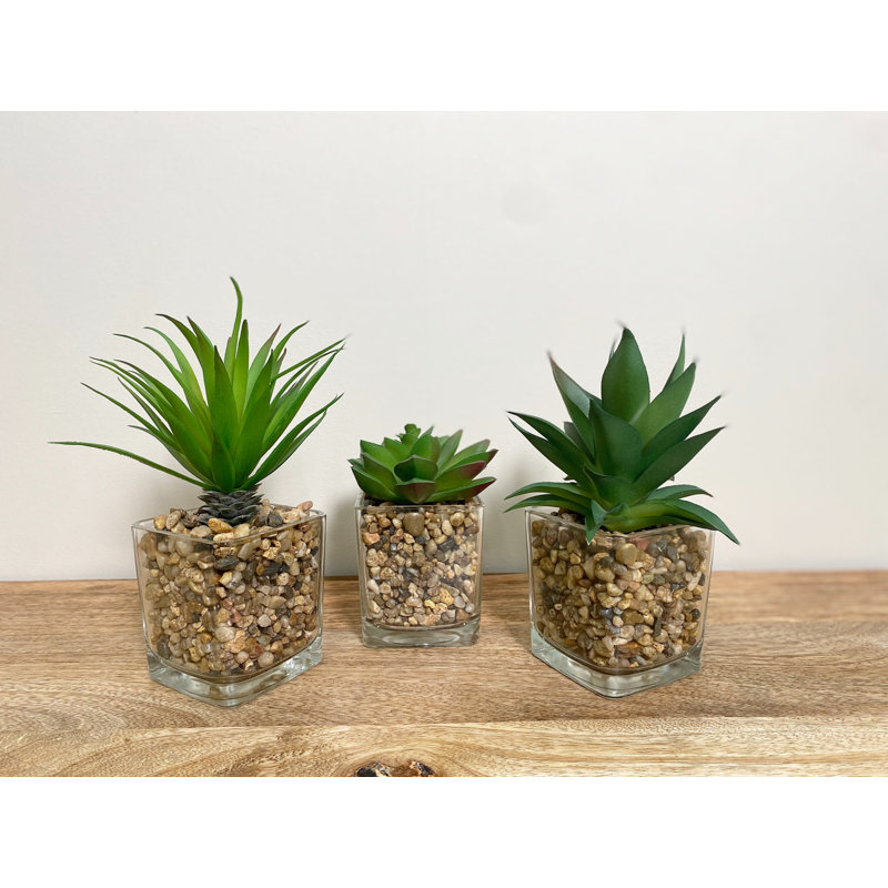 19cm Faux Succulent Plant in Glass Pot