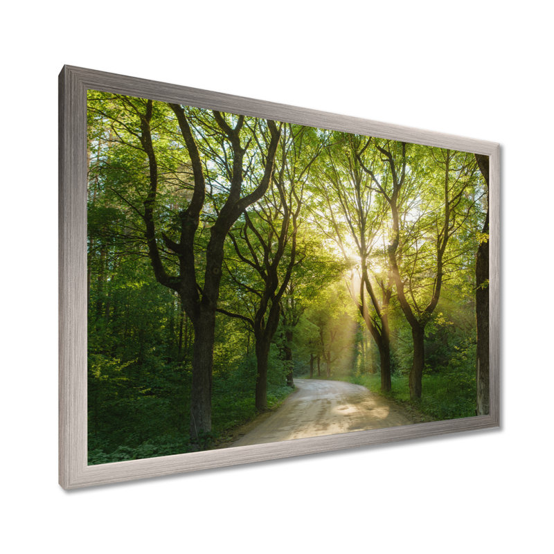 «Evening in Green Forest», art mural sur toile, H 12 po x l 20 po, Cadre photo argenté
