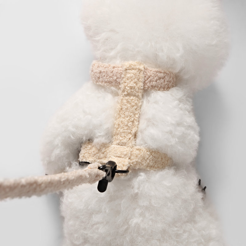 Ensemble de promenade à harnais et laisse réglable Teddy Bouclé, Beige, Small