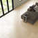 True Story 12'' W x 24'' L Porcelain Throughbody Singular Tile