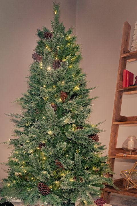 Christmas Trees