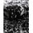 Brandt Floral Area Rug-1344683353-1420904728-1435124803