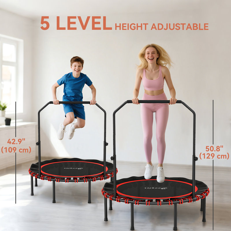 Trampoline 48 "pliable avec poignée réglable à 5 niveaux