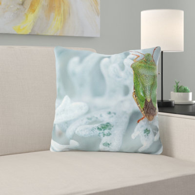 Coussin stinkwanze