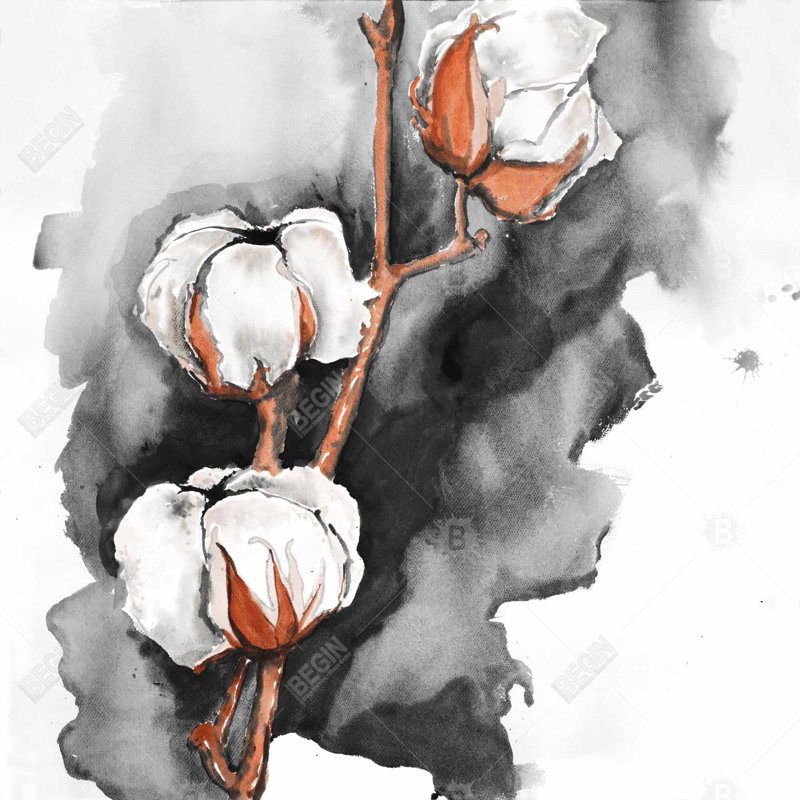 Cotton Flowers on Black Background | Office Gray – Throw Pillow Cover Only, Double-Sided Print, Insert Not Included