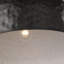 Buckner 1 - Light Pendant-224982631