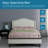 Germanton 4-Inch Bed Base with Wallhugger Pillow Tilt, Dual Massage System, Zero Gravity, Fast and Easy Setup-599012375