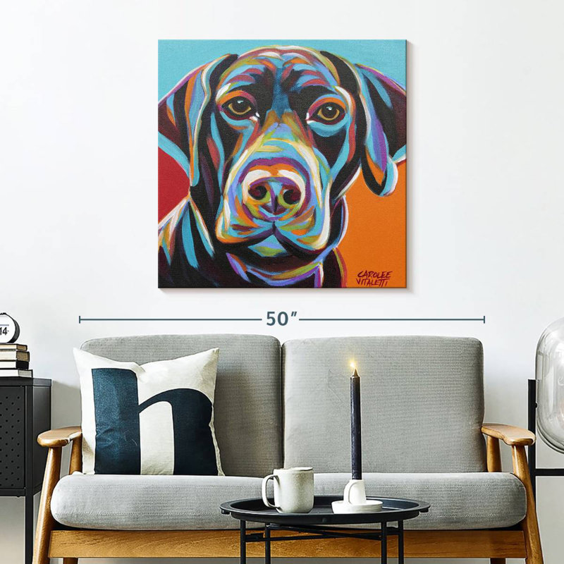 Brampt Dog Friend II, H 30 po x l 30 po