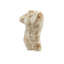 Ancient Greek Torso Sculpture