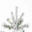 Sierra Christmas Tree-1930950834