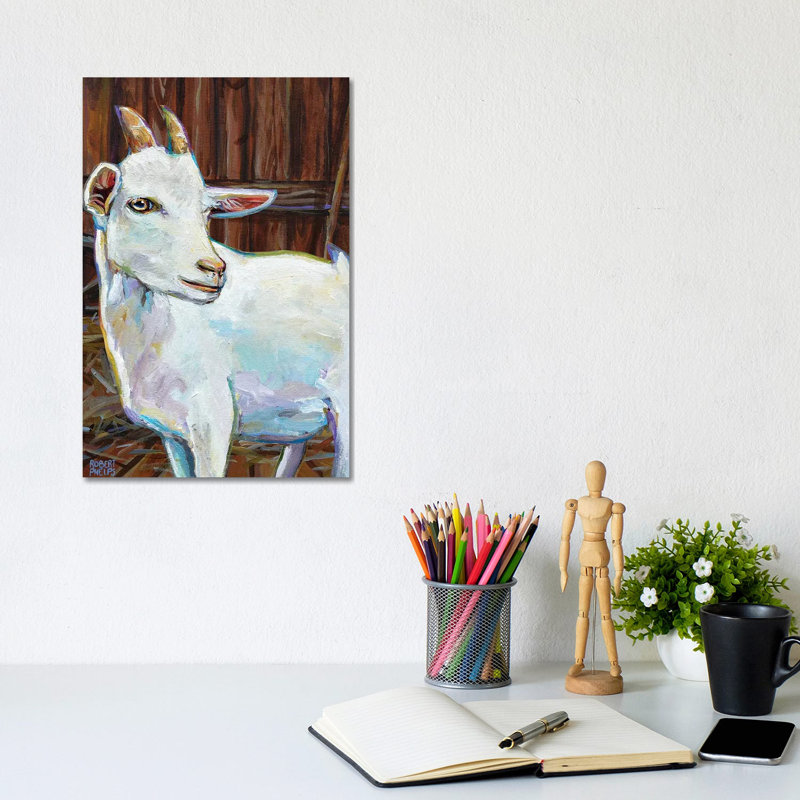 White Goat In Barn by Robert Phelps - Gallery-Wrapped Canvas Giclée on Canvas, 20.32 cm H x 30.48 cm W, Canvas