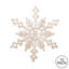 Ornement en forme de flocon de neige scintillant-532679608-421822656
