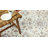 Demarquis Machine Woven Polyester Oriental Ivory/ Red Area Rug-1591918140