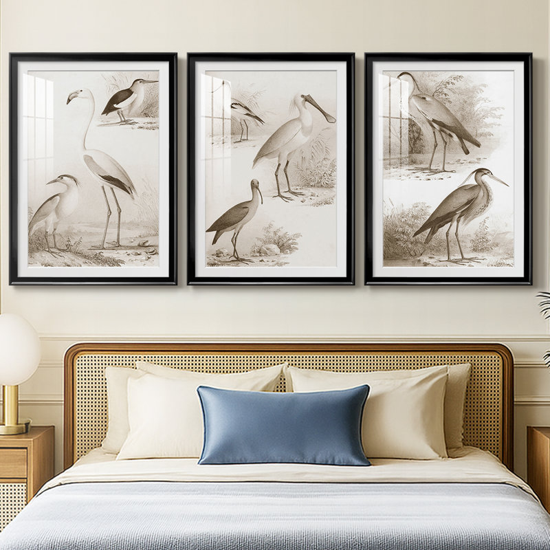 Oiseaux d'eau sépia I - reproduction sur mesure encadrée de qualité supérieure - 3 pièces, H 19 po x l 27 po
