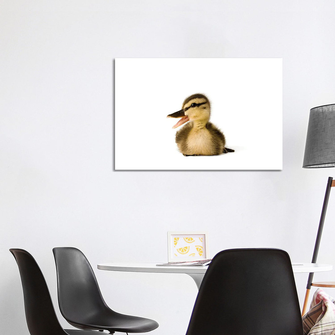 A Mallard Duckling I von Joel Sartore - Galerie-verpackte Leinwand Giclée auf Leinwand