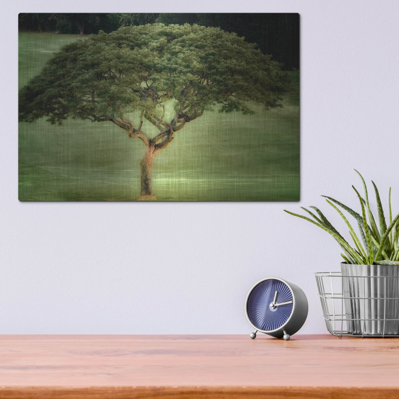 «Single Tree» par Dennis Frates, H 12 po x l 16 po