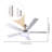 Ceiling Fan with LED Lights-337638975