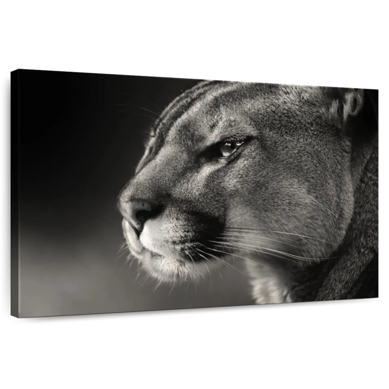 Brampt Cougar Face, 30" H x 45" W