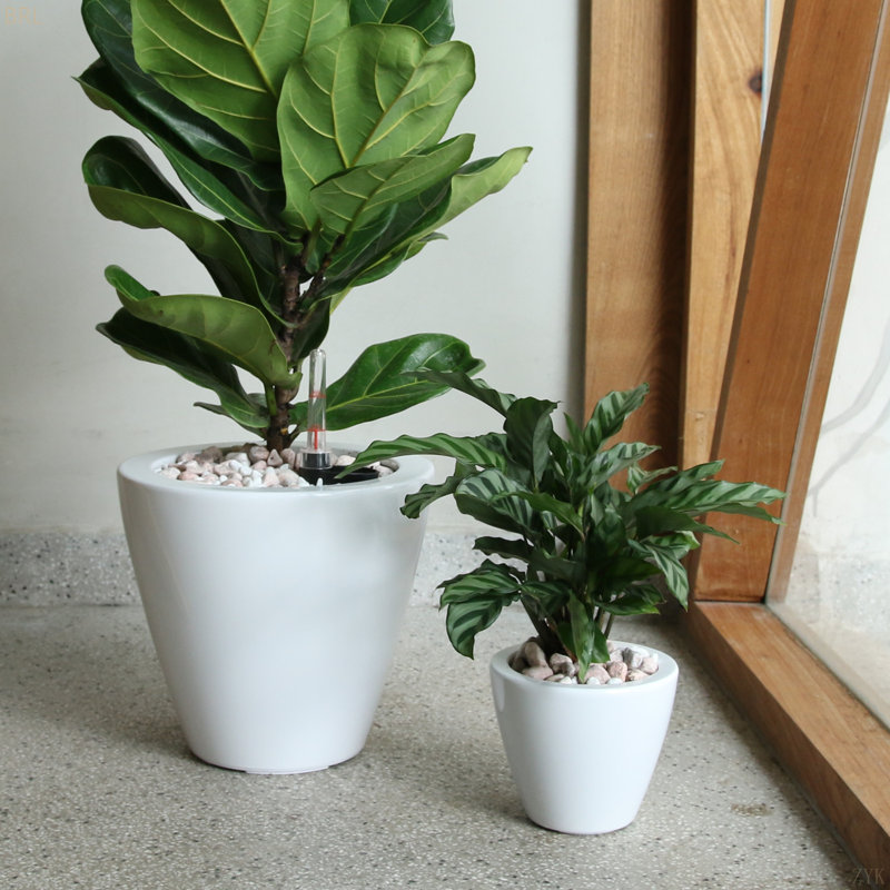 2-Pack Smart Self-watering Planter Pot, White