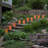 Plastic Luminaria Lanterns - 10 Count-1511374334