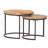 Ivaldo Frame 2 Nesting Tables Coffee Table-877844293