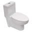 Ceramic One Piece Toilet,Dual Flush with Soft Clsoing Seat