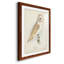 Barn Owl Premium encadré mat - prêt à accrocher-1890251785-1890251786