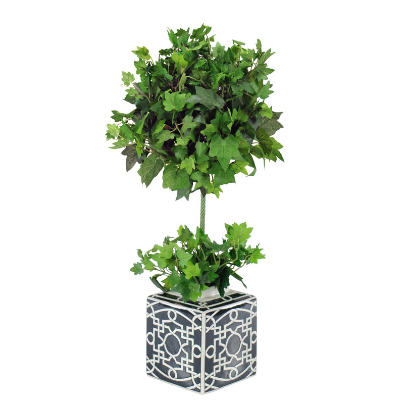 Topiaire de plancher dans un pot de fleurs en céramique ivy
