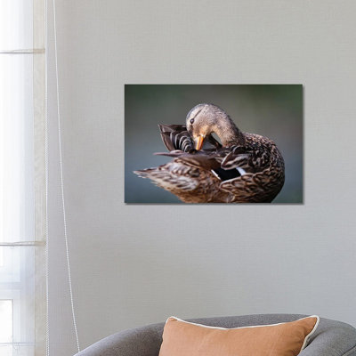 Madame by Mateusz Piesiak - Wrapped Canvas Print