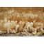 Monaco Solid Colour Hand Woven Area Rug-16786357
