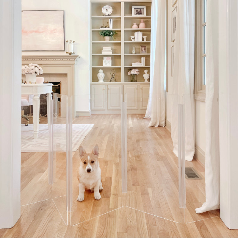 Hiddin Clear Freestanding Tall Zig Zag Pet Gate, 6-Panel