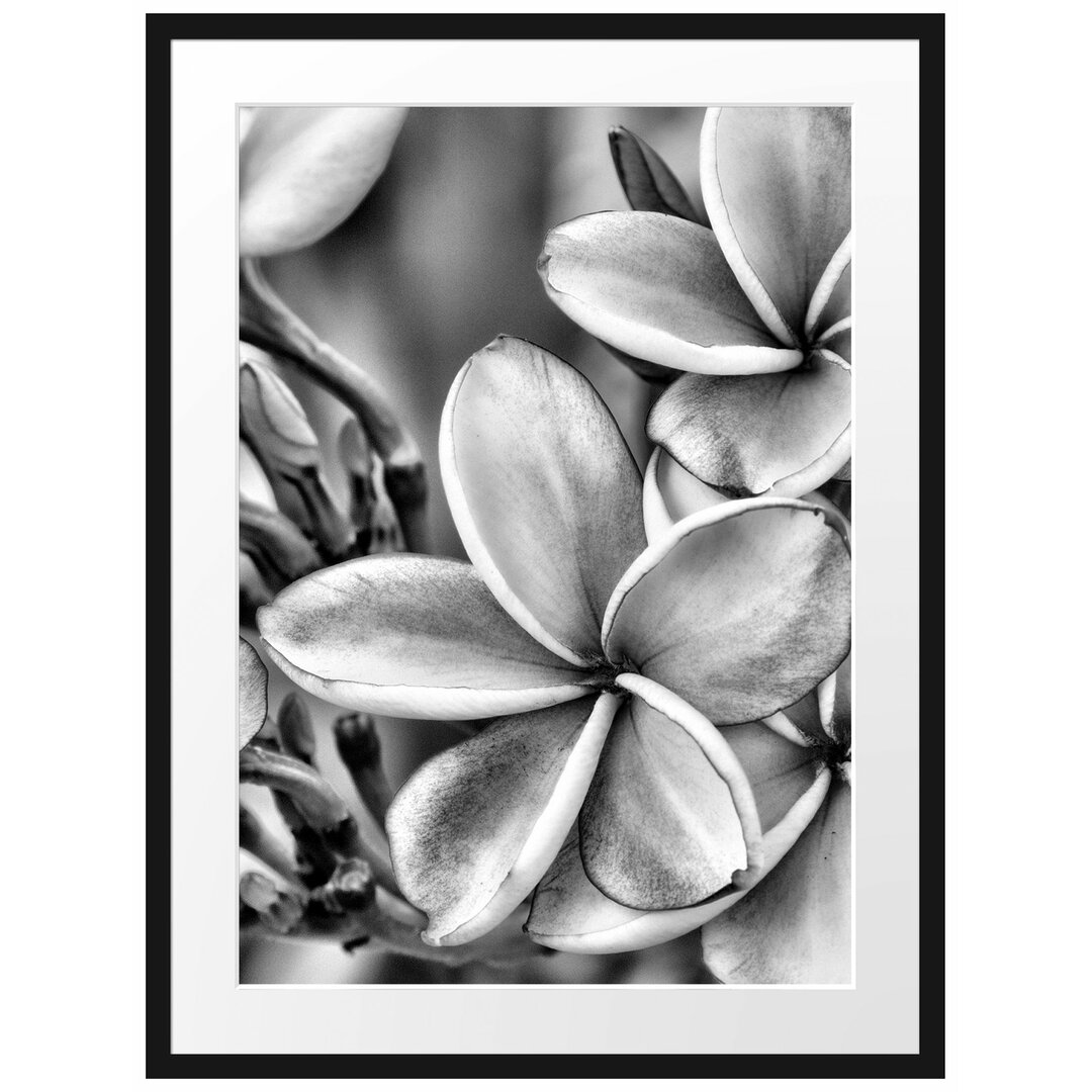 Monoi Blumen auf Hawaii Gerahmter Fotokunstdruck Poster