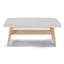 Table basse avec rangement Roseleaf-148840865