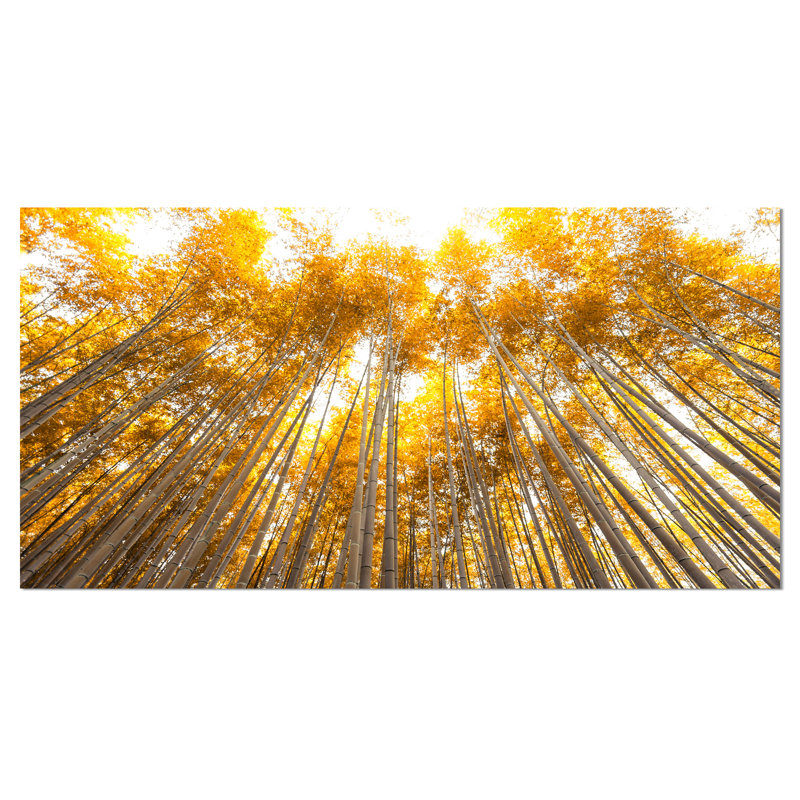 «Autumn Bamboo Grove», reproduction de photo sur toile tendue, H 28 x l 60 po x P 1 po