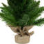24" Mini Balsam Pine Medium Artificial Christmas Tree in Burlap Base Unlit-1898930013